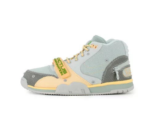 Air Trainer 1 X Travis...